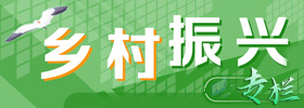乡村振兴专题