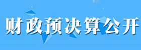 财政预决算公开专题