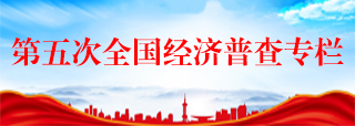 第五次全国经济普查专栏